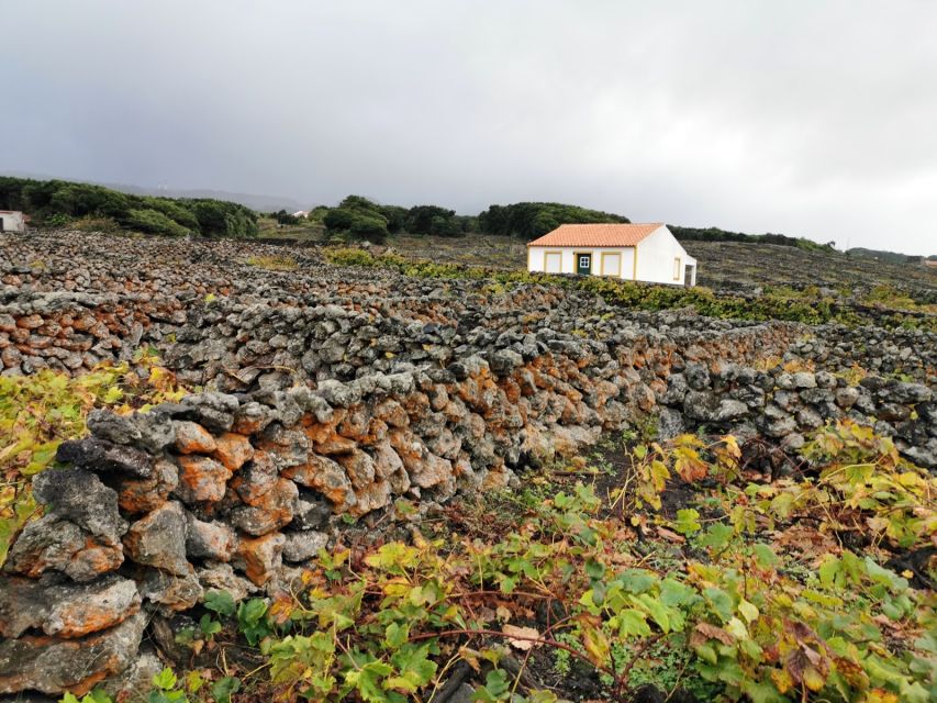 Terceira Island: Best of Terceira Island Tour With Lunch - Top Attractions