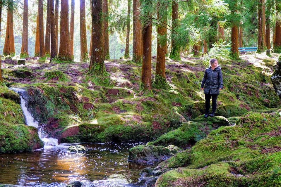 Terceira Island: Best of Terceira Island Tour With Lunch - Itinerary Details