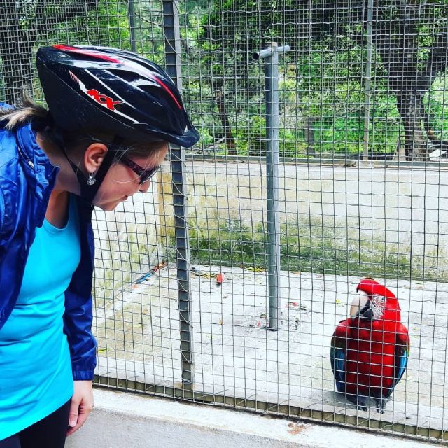 Terceira Island: Electric Bike Tour Monte Brasil - Language Options