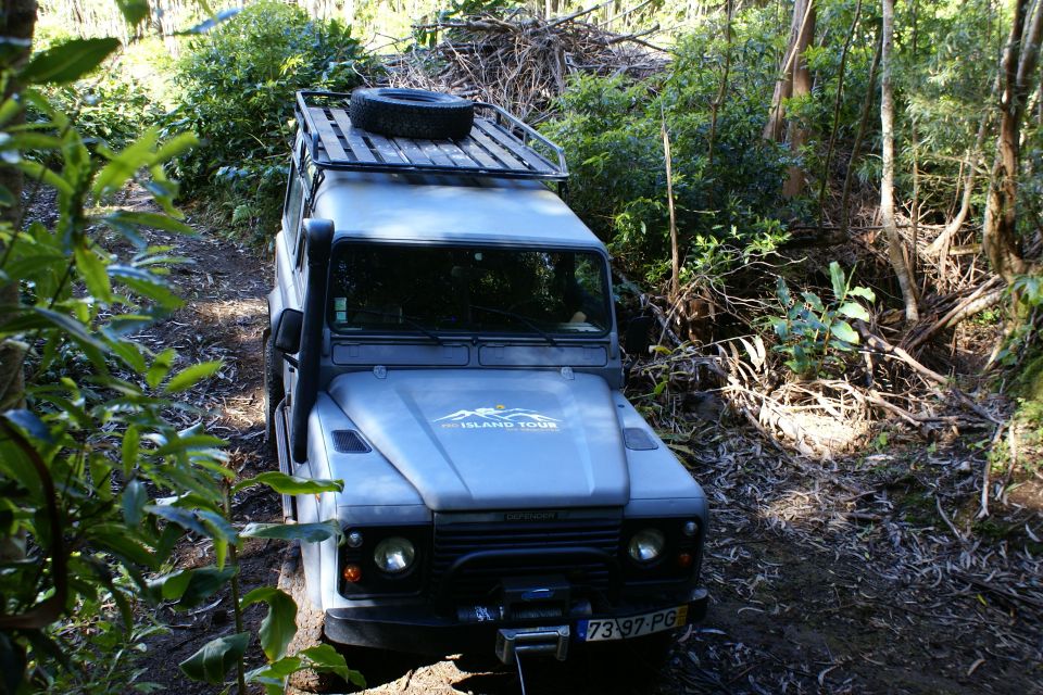 Terceira Island: Full-Day Mud Adventure & Traditional Lunch - Booking and Cancellation Policy