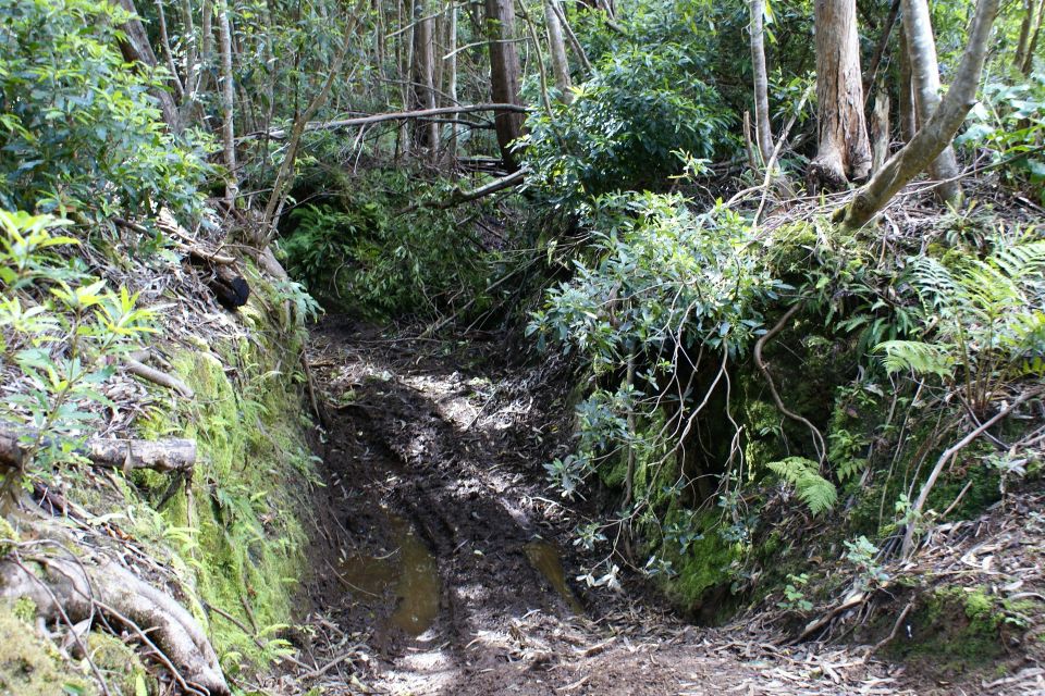 Terceira Island: Full-Day Mud Adventure & Traditional Lunch - Getting to the Adventure