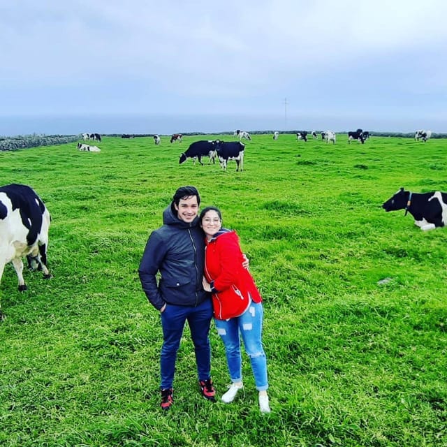 Terceira Island: Full Day Van Tour - Key Points