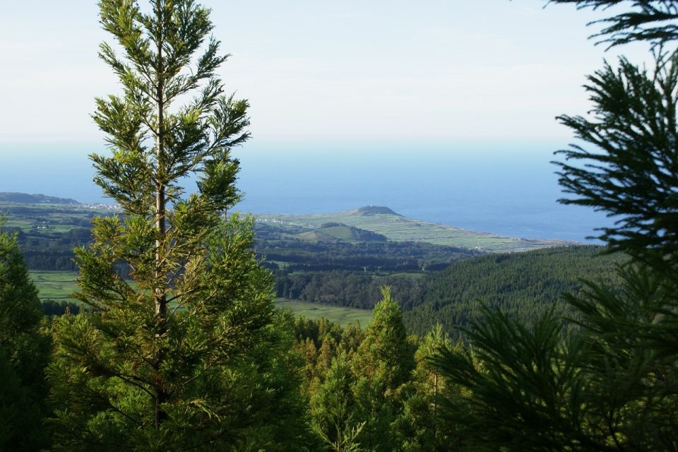 Terceira Island: Half-Day 4X4 Tour - Inclusions and Pricing