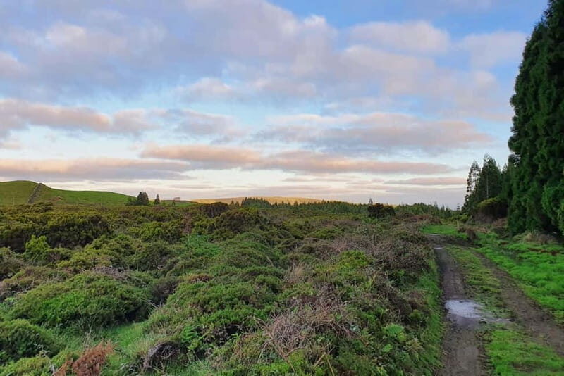 Terceira Island: Half-Day Hiking with Cheese Tasting - A Deeper Look at the Tour