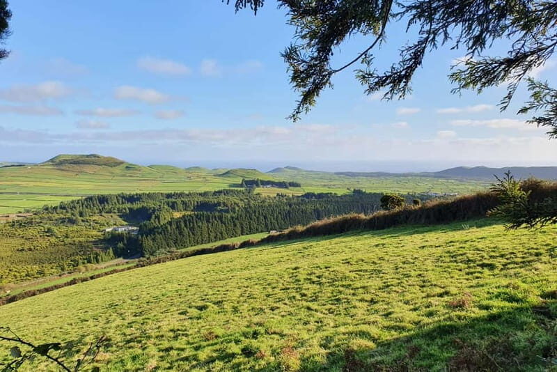 Terceira Island: Half-Day Hiking with Cheese Tasting - Authentic Experiences and Authenticity