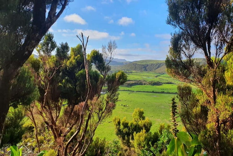 Terceira Island: Half-Day Hiking with Cheese Tasting - FAQ