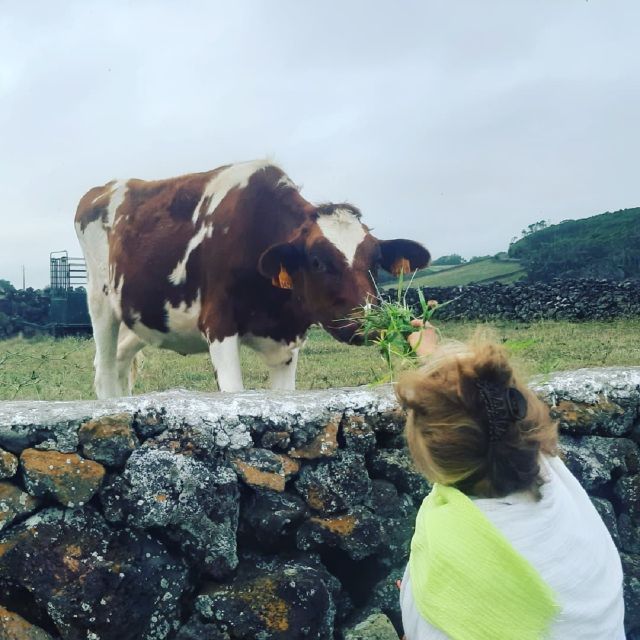 Terceira Island : Half-Day Van Tour on the West Coast - Exploring Monte Brasil