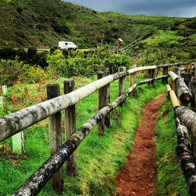 Terceira Island : Half-Day Van Tour to the Caves - Key Points
