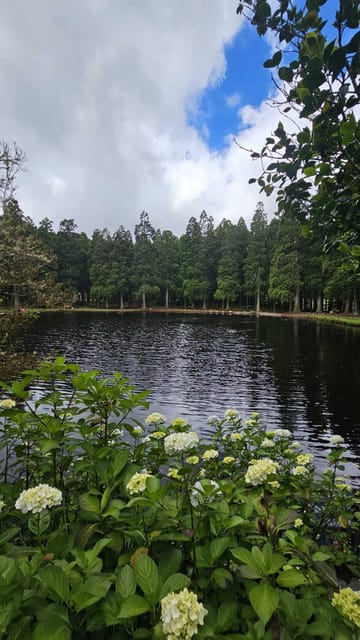 Terceira Island : Half-Day Van Tour to the Caves - Why This Tour Stands Out