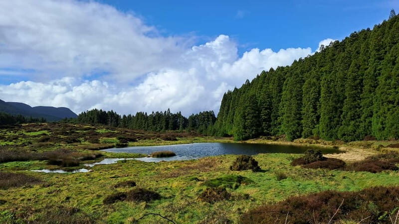 Terceira Island: Highlights Tour with Traditional Lunch - Key Points  
