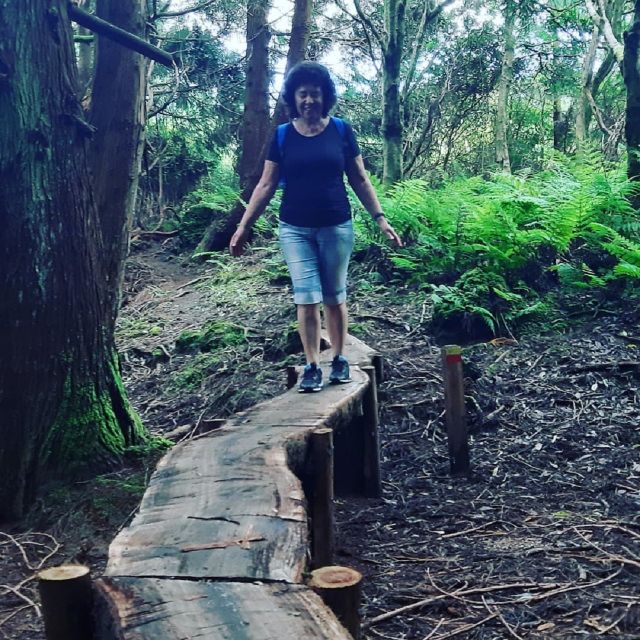 Terceira Island : Hiking Trail Rocha do Chambre - An In-Depth Look at the Rocha do Chambre Hike