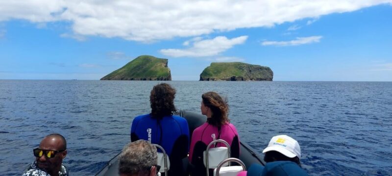 Terceira Island: Ilhéu das Cabras Boat Tour + Snorkeling - What’s Included and What’s Not?