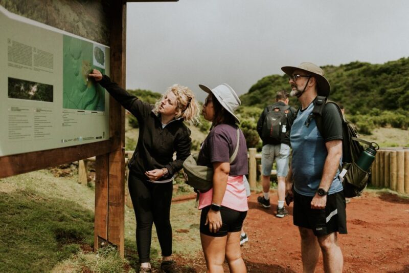 Terceira Island - Jeep Safari Tour (FD) - The Sum Up