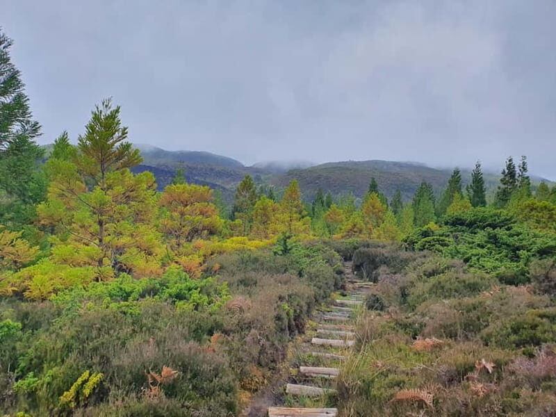 Terceira Island: Mistérios Negros & Mist. Novo Hike w/picnic - A Deep Dive into the Adventure