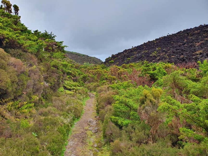 Terceira Island: Mistérios Negros & Mist. Novo Hike w/picnic - What Travelers Say