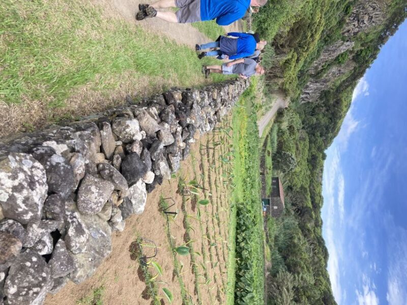 Terceira Island Scenic Hiking Trails Tour (Shared Tour) - Authentic Experiences and Genuine Value