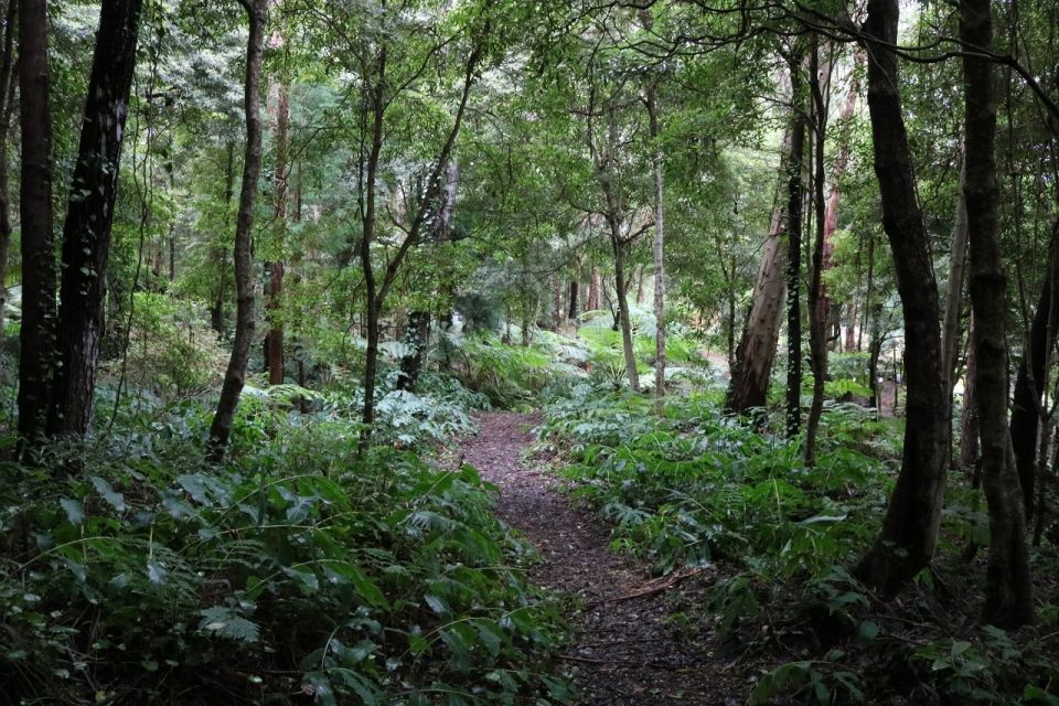 Terceira Island: Walking Trails Hiking Tour - Key Points