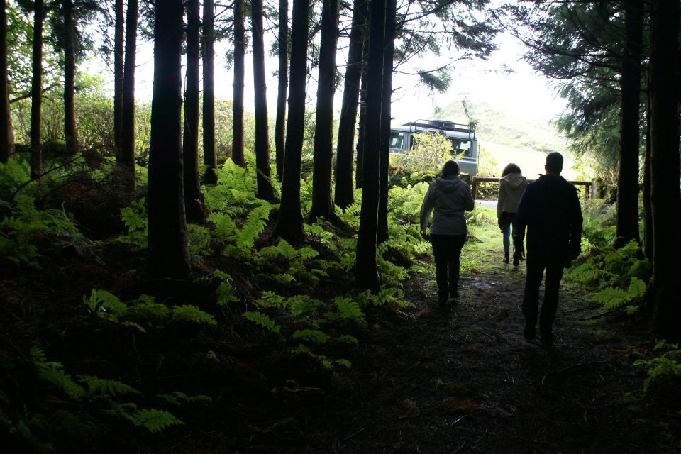 Terceira Island Whale Watching and Jeep Tour - Frequently Asked Questions