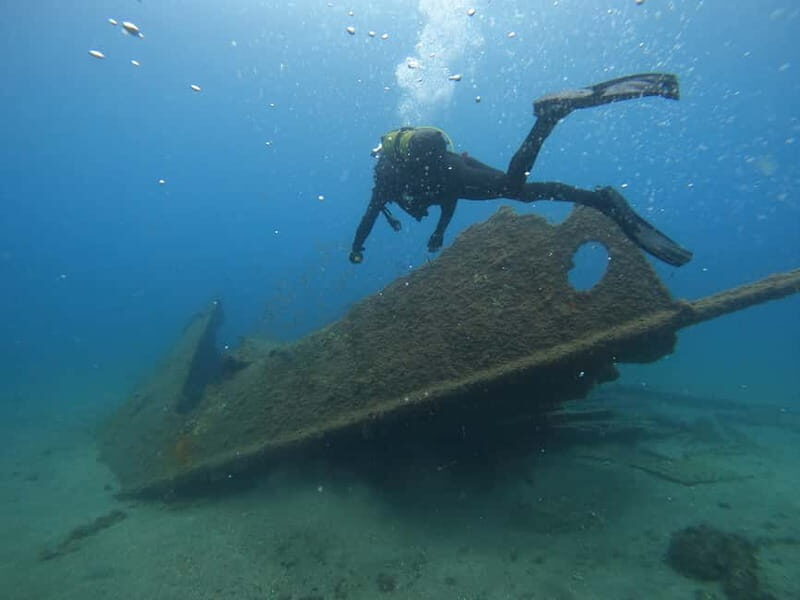 Terceira Island:Try Scuba in a Shipwreck-Archeological park - Key Points