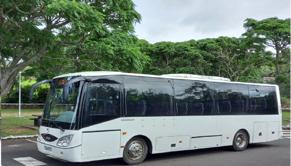Terceira - Private Group - Full Day Guided Bus Tour - Pickup and Dropoff Arrangements