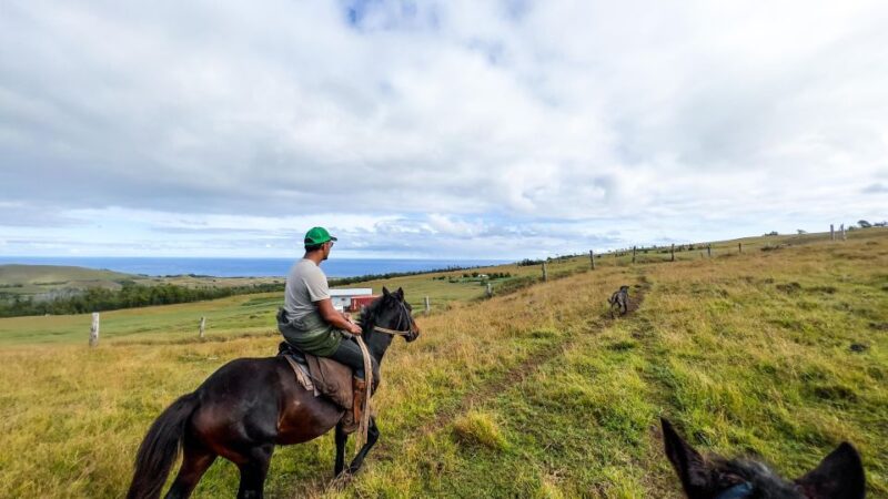Terevaka Horse Excursion: the Highest Point and 360° View. - Experience Highlights