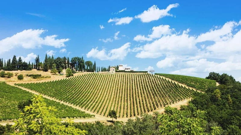 Terricciola Valdera E-Bike Tour + Wine Tasting, Photo Shoot - Key Points