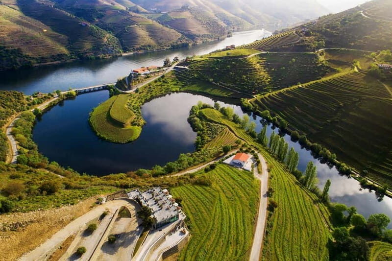 Tesla Premium Private Tours - Porto to Douro Valley - Who Would Enjoy This Tour?