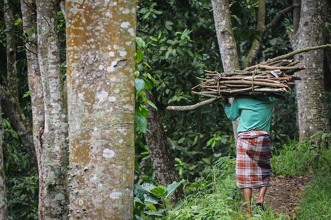 Tetebatu Cycling Tour | Rice Terraces, Waterfall, And Monkey Forest - Key Points