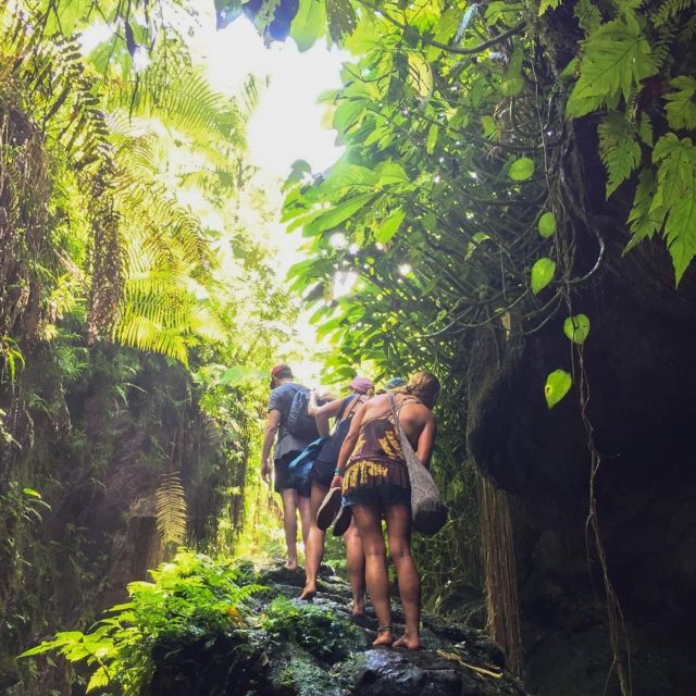 Tetebatu: Rice Fields, Waterfall, & Monkey Forest Day Tour - Restrictions