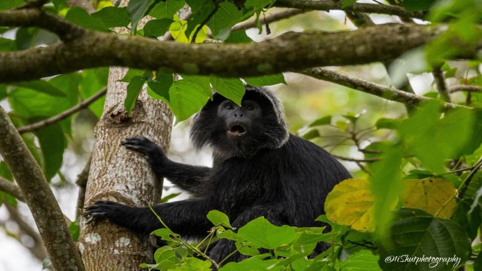 Tetebatu: Rice Fields, Waterfall, & Monkey Forest Day Tour - What to Bring