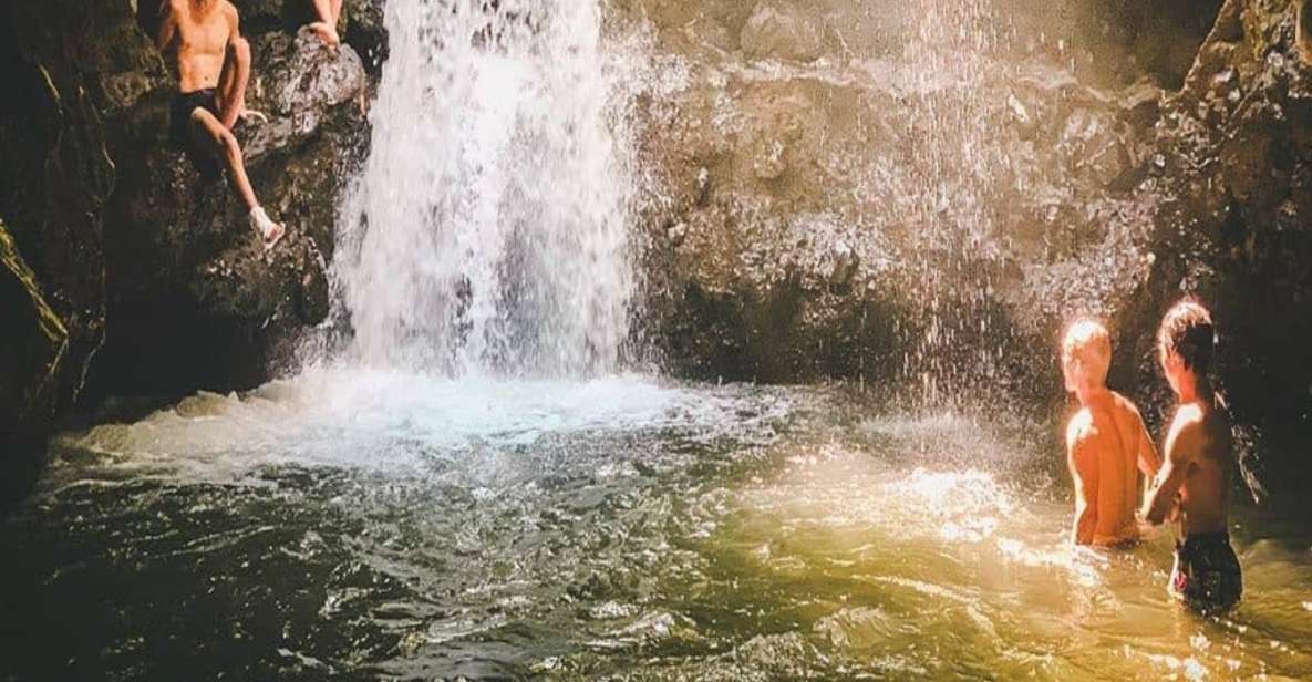 Tetebatu: Rice Fields, Waterfall, & Monkey Forest Day Tour - Swim in Hidden Waterfalls