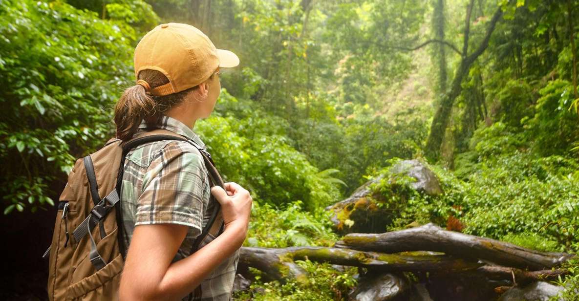 Tetebatu Soft Trekking - Key Points