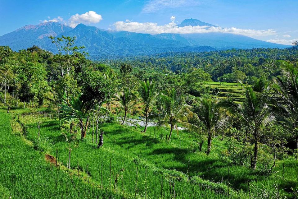 Tetebatu Soft Trekking - Inclusions