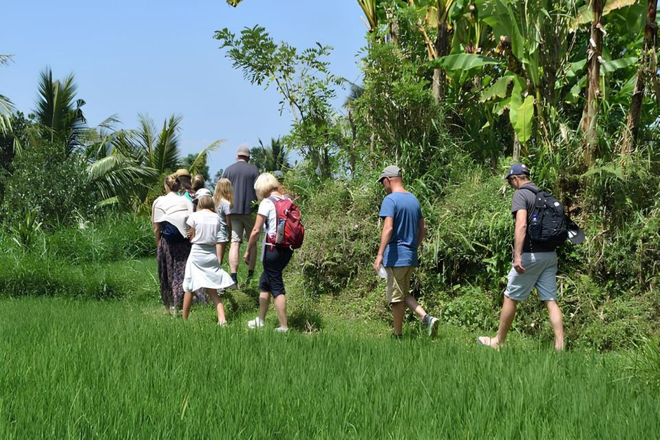 Tetebatu Tour: Rice Terraces, Waterfall & Monkey Forest - Key Points