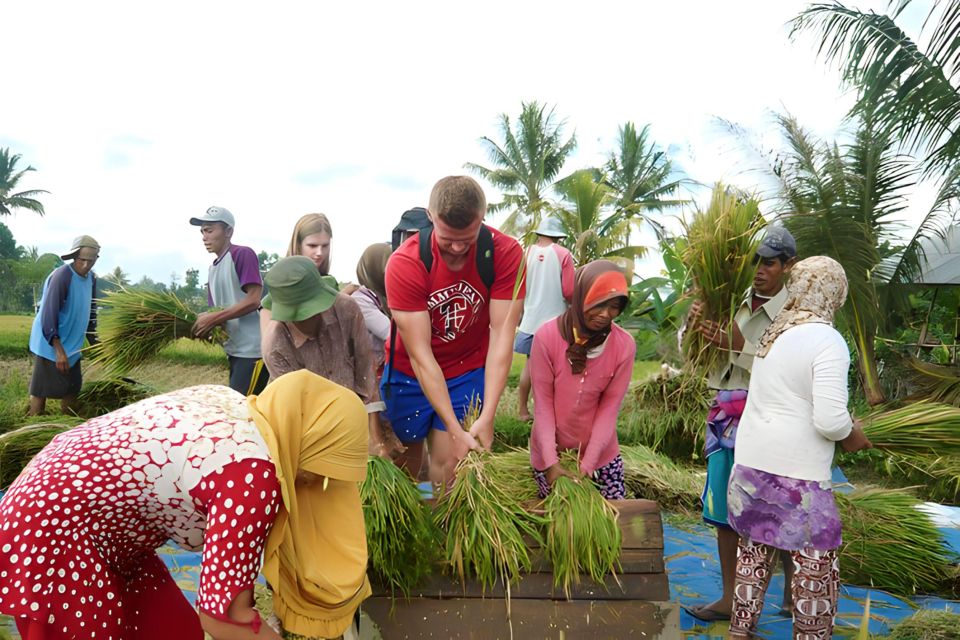 Tetebatu Tour: Rice Terraces, Waterfall & Monkey Forest - Itinerary Breakdown