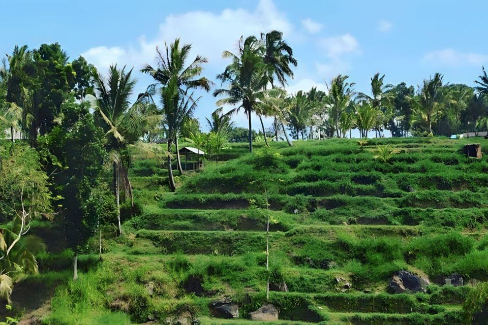Tetebatu Tour: Rice Terraces, Waterfall & Monkey Forest - What to Expect