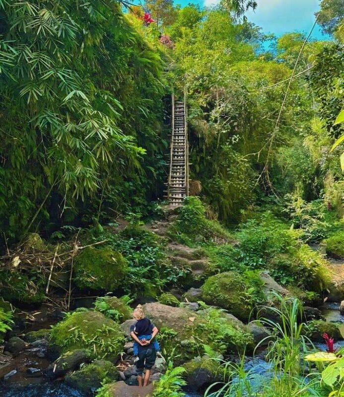 Tetebatu : Walk on Rice Terrace, Waterfall and Black Mongky - Final Thoughts