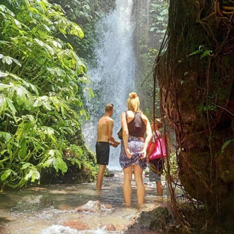 Tetebatu : Walk on Rice Terrace, Waterfall Include Luch - An In-Depth Look at What to Expect in Tetebatu