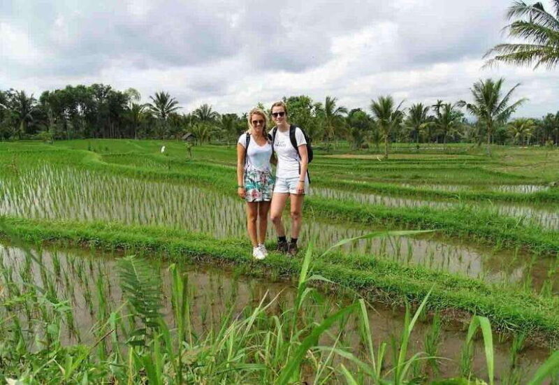 Tetebatu : Walk on Rice Terrace, Waterfall Include Luch - The Pros and Cons