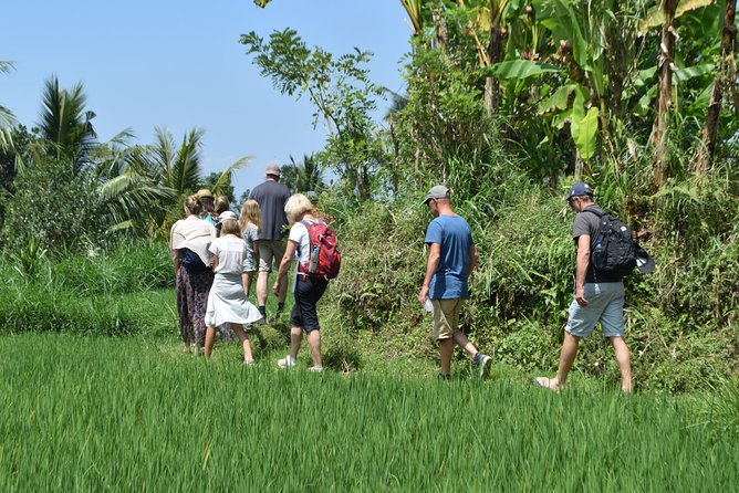 Tetebatu Walking Tour - Rice Terraces, Waterfall & Monkey Forest - Panoramic Views of Mount Rinjani