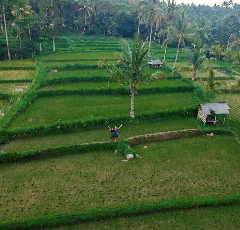 Tetebatu : Waterfall, Rice Fields & Monkey Forest Full day - Final Thoughts