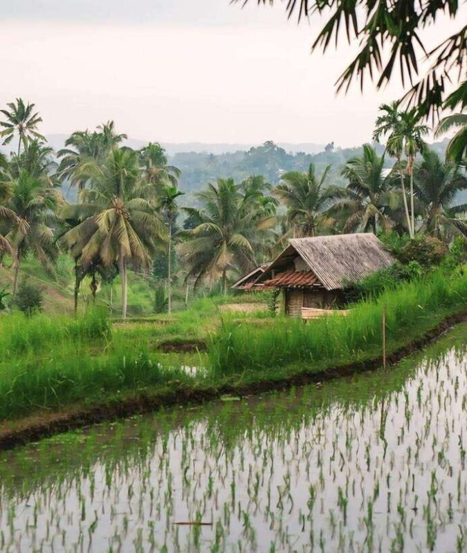 Tetebatu : Waterfall, Rice Fields & Monkey Forest Full day - Frequently Asked Questions