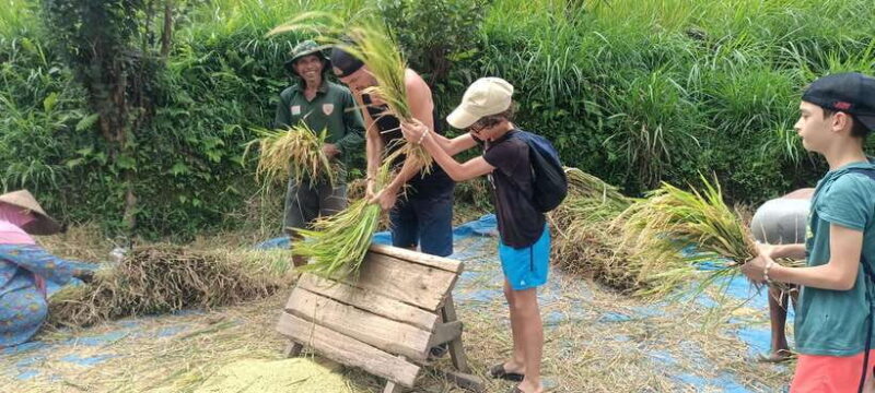 Tetebatu: Waterfalls, Spices, Rice Terrace, Monkey forest - Introduction