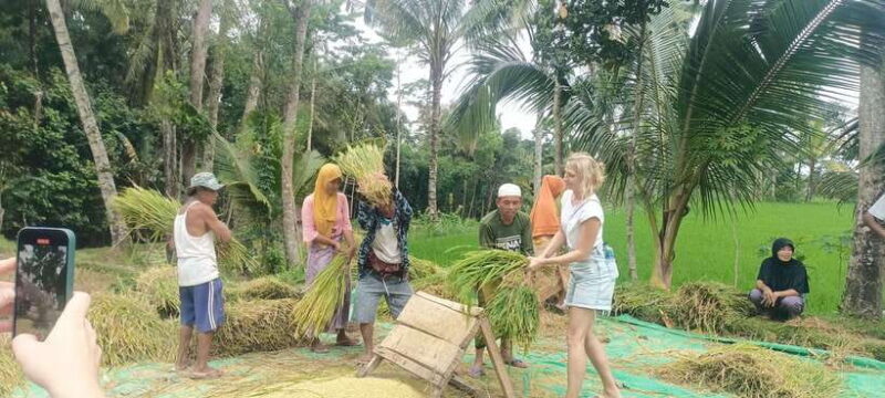 Tetebatu: Waterfalls, Spices, Rice Terrace, Monkey forest - Practical Details and Tips