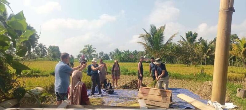 Tetebatu: Waterfalls, Spices, Rice Terrace, Monkey forest - FAQ  