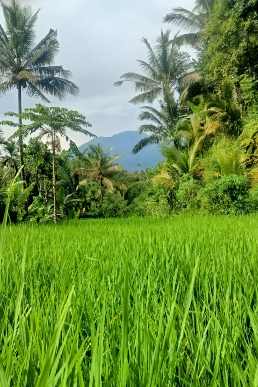 Tetebatu: Waterfalls, Spices, Rice Terrace, Monkey Forest - Tour Duration and Inclusions