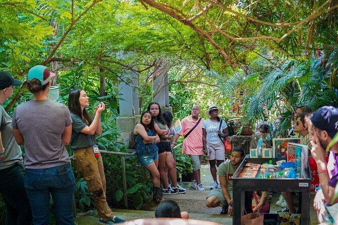 Texas Discovery Gardens General Admission - A Practical Look at Texas Discovery Gardens