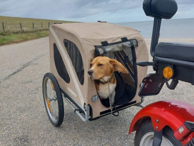 Texel: E-Scooter Rental - Discover Texels Natural Beauty