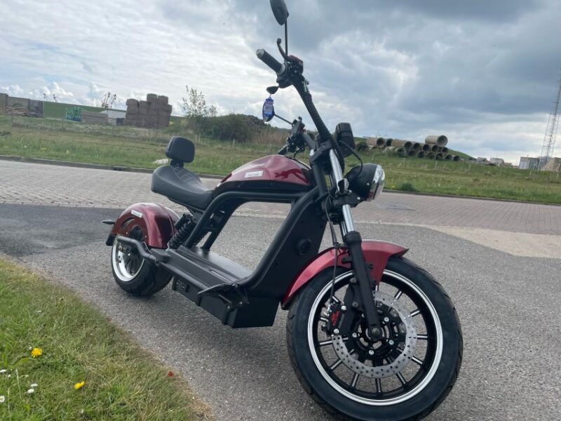 Texel: Explore Texel With a Café Cruiser E-Scooter - Good To Know