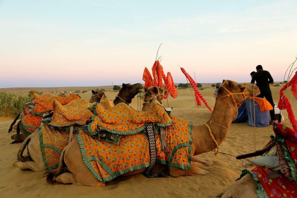 Thar Desert Adventures - Location and Getting There